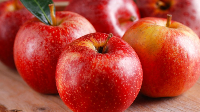 bea manzana ursolico.png